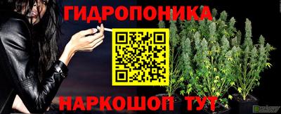 молекула духа Берёзовский
