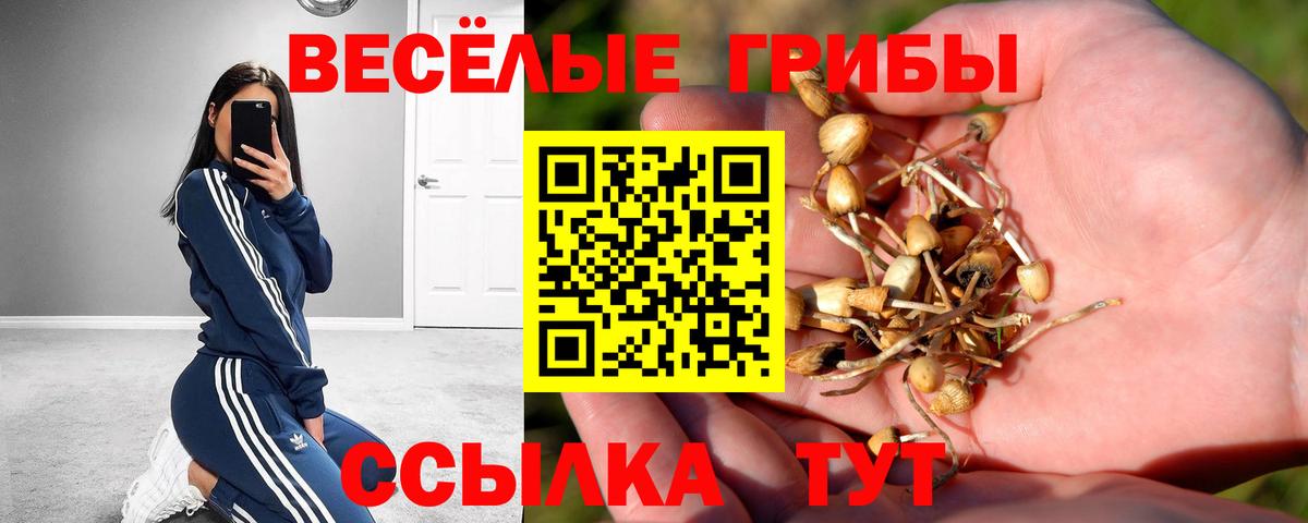 Галлюциногенные грибы ЛСД Кинель