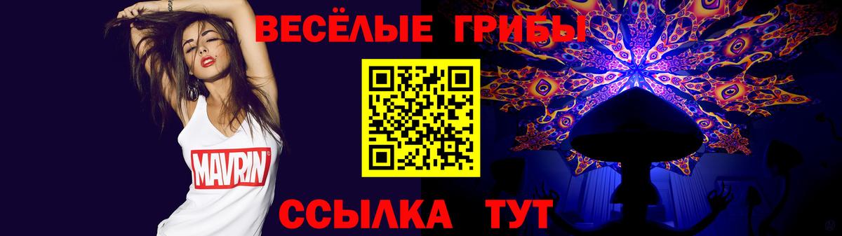 Кинель  Псилоцибиновые грибы GOLDEN TEACHER  Вход с VPN  Галлюциногенные грибы ЛСД 